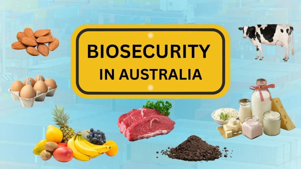 Australia's Biosecurity 2026: What Alibaba Buyers Must Know 2 A yellow sign reading "BIOSECURITY IN AUSTRALIA" surrounded by images of eggs, nuts, fruit, meat, dairy, soil, and a cow, representing Australia's strict border control.